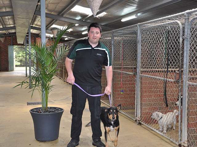 peninsula boarding kennels